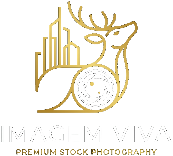 Imagem Viva Logo